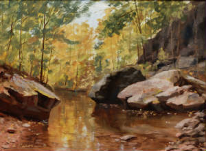 DeepInTheWoods12x16Oil.jpg