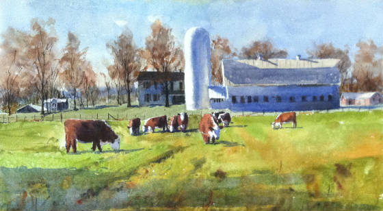 HerefordsWatercolor10x20WC.jpg